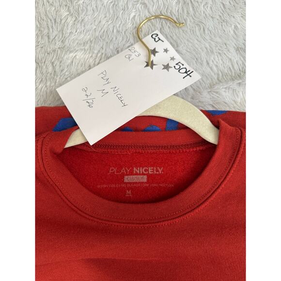 Civile Apparel Play Nicely Sweatshirt Unisex Medium Don't Be a Dink Pickleball - Picture 4 of 5